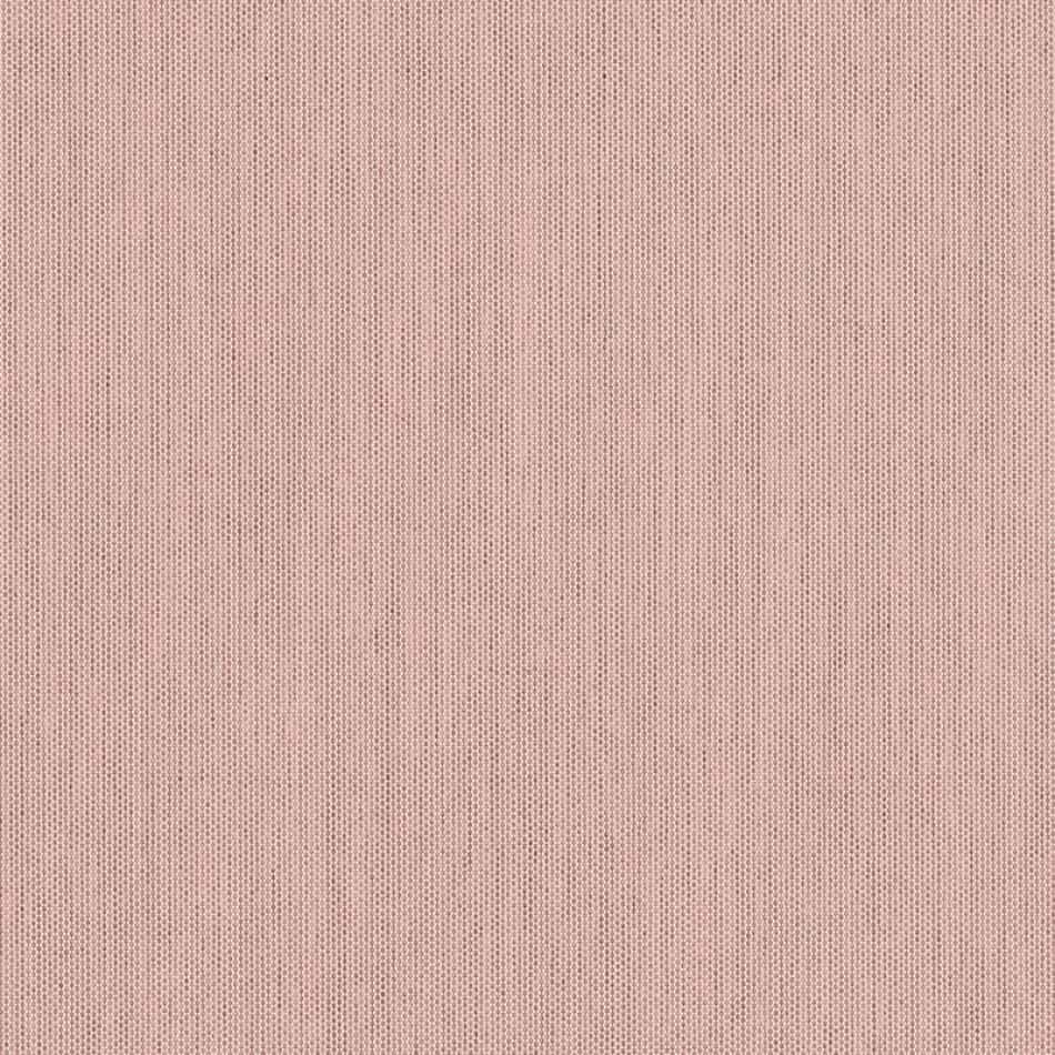 Blush (SJA 3965 137)