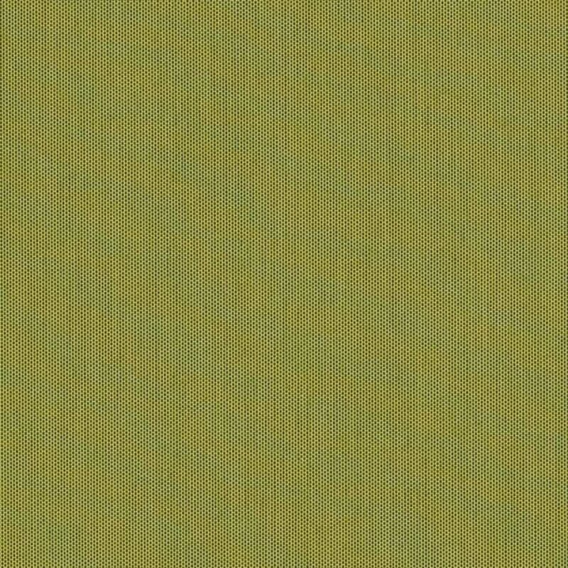 Solids Lichen 3970