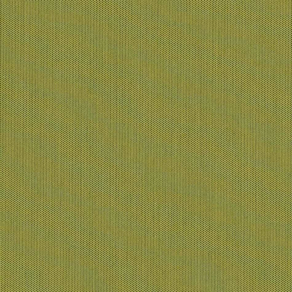 Lichen (SJA 3970 137)