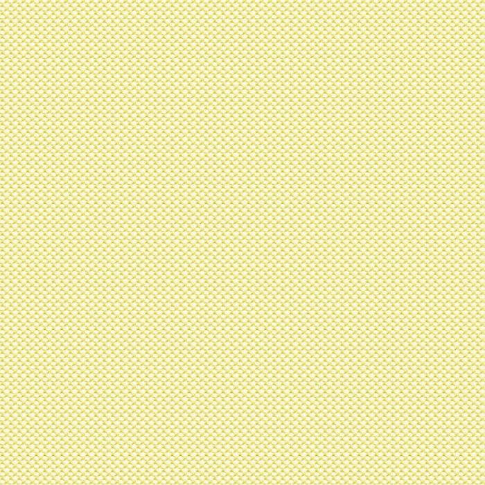 NATTE LEMONADE300