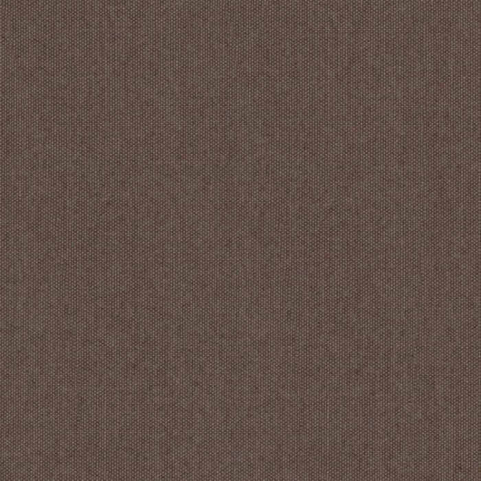 SS MILK BROWN