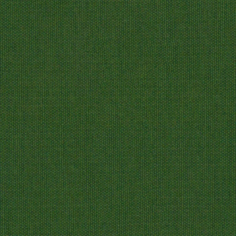 Calathea (SJA 3999 137)