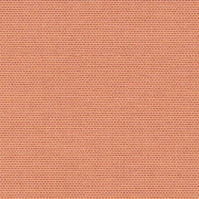 Coral (SJA P101 137)