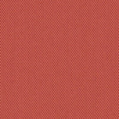 Tigerlily (MEZ 10222)