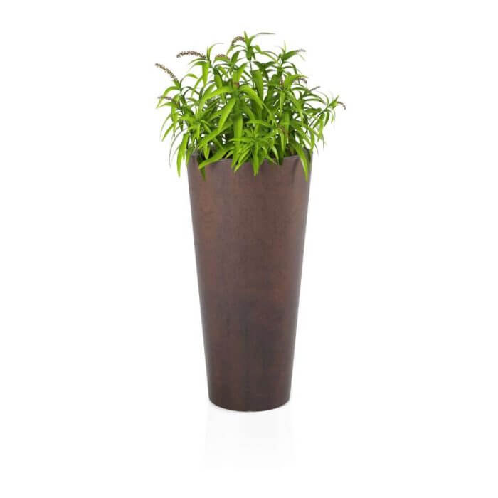 Habana corten