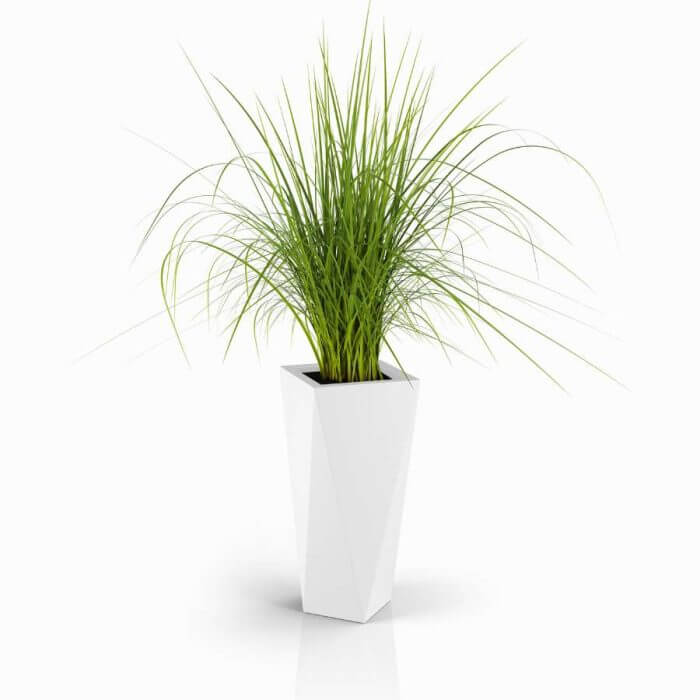 Vaso72 biala