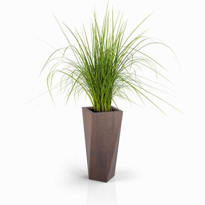 Vaso72 corten