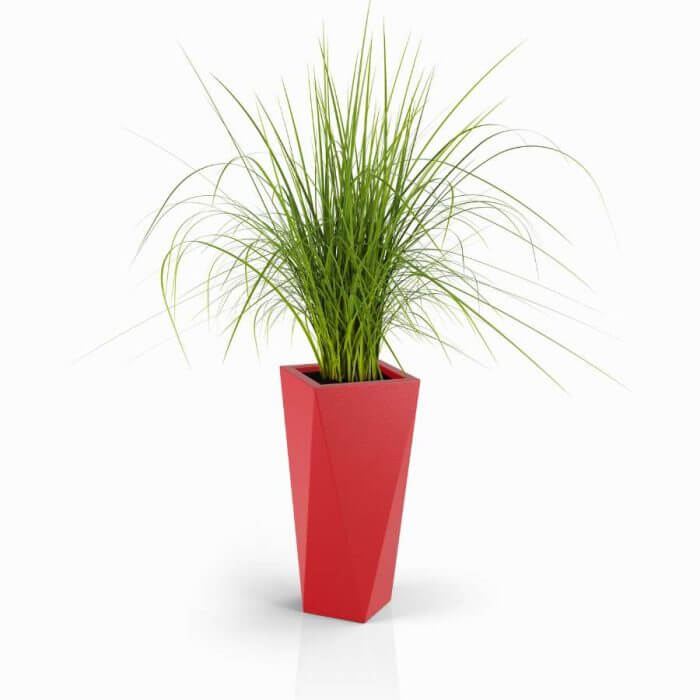 Vaso72 czerwona