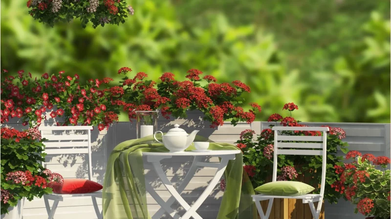 Jak ładnie i nowocześnie urządzić balkon? Jak-urządzić mały balkon - Mały balkon z białym stolikiem, krzesłami i czerwonymi kwiatami w donicach