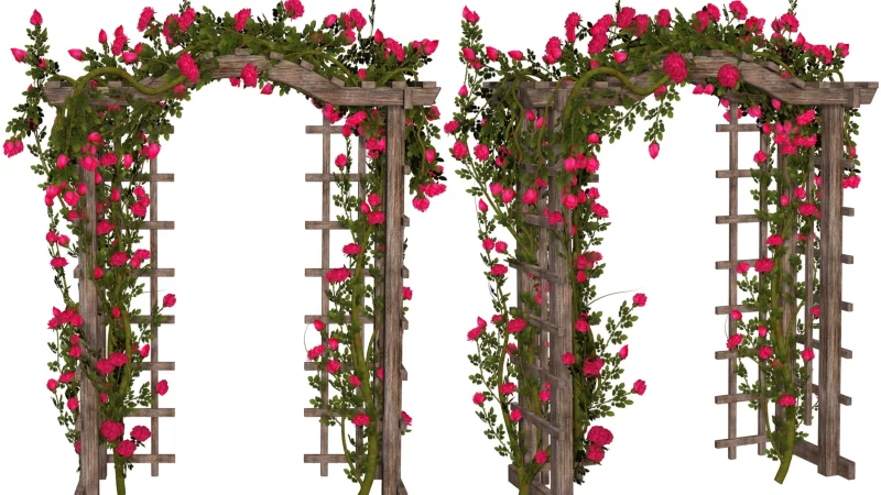 Pergola, trejaż czy tarasola — czym się różnią i co wybrać do swojego ogrodu? trejaz