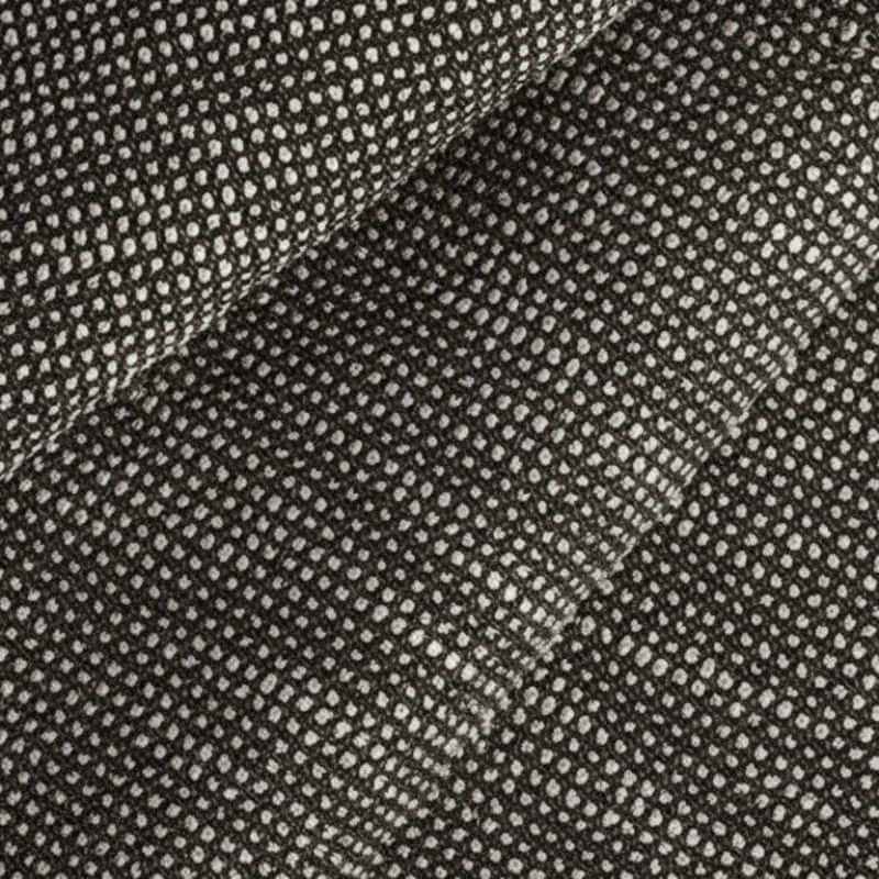 Slow_Fern_SLO_19106 (2) Slow Fern SLO 19106 2